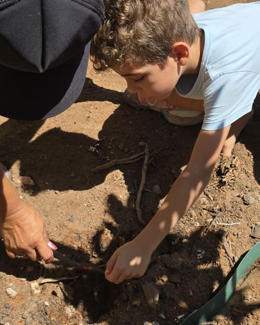 Crianças plantando mudas